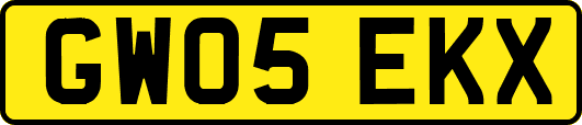 GW05EKX