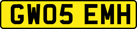GW05EMH