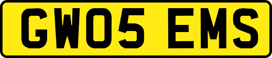 GW05EMS
