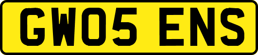 GW05ENS