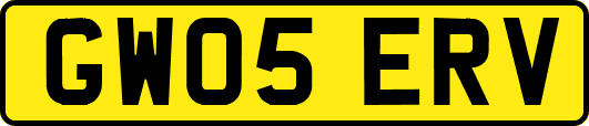 GW05ERV
