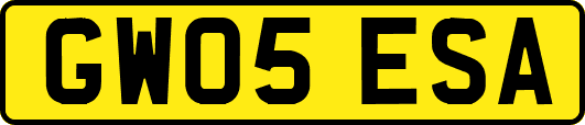 GW05ESA