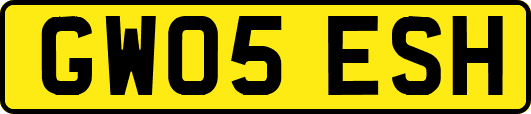 GW05ESH