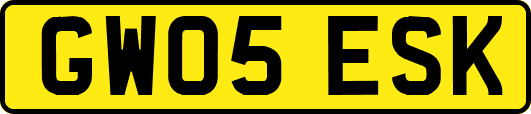 GW05ESK