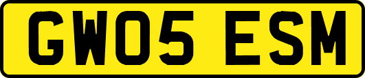 GW05ESM