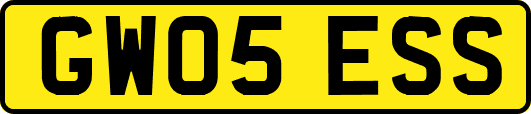 GW05ESS