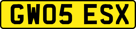 GW05ESX