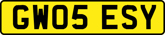 GW05ESY