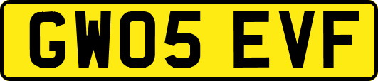 GW05EVF