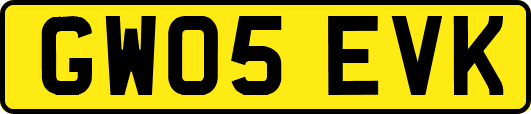 GW05EVK