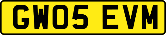 GW05EVM