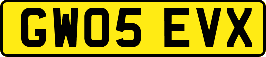 GW05EVX