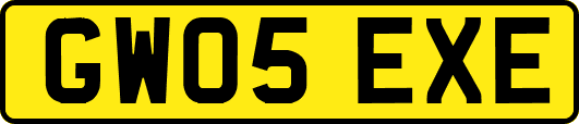 GW05EXE