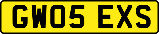 GW05EXS
