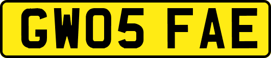 GW05FAE