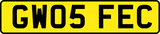 GW05FEC
