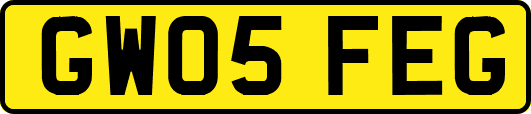 GW05FEG
