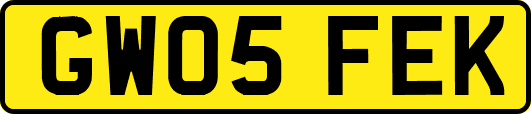 GW05FEK