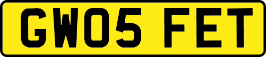 GW05FET