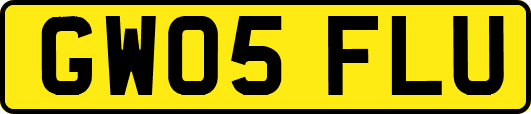 GW05FLU