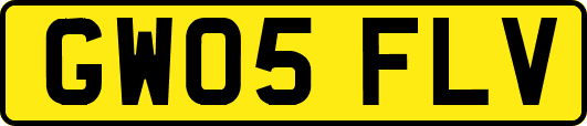 GW05FLV