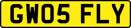 GW05FLY