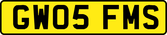 GW05FMS