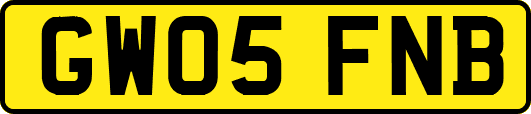 GW05FNB