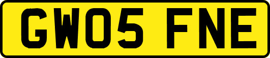 GW05FNE