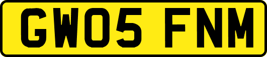 GW05FNM
