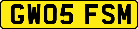GW05FSM