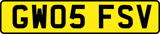 GW05FSV