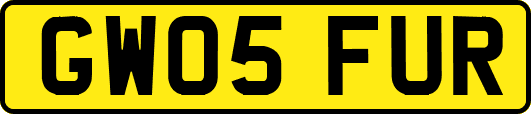 GW05FUR