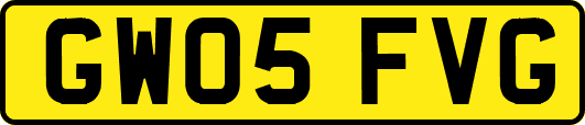 GW05FVG