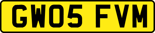 GW05FVM