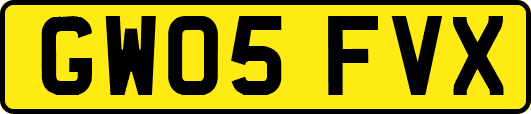 GW05FVX