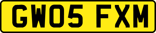 GW05FXM