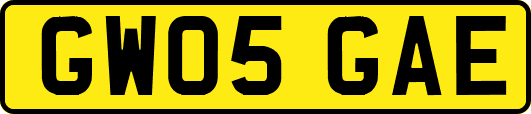 GW05GAE