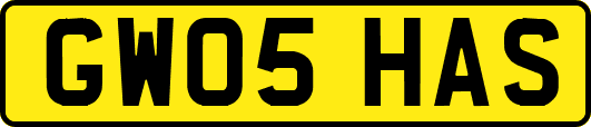 GW05HAS