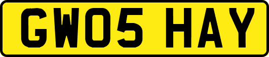 GW05HAY