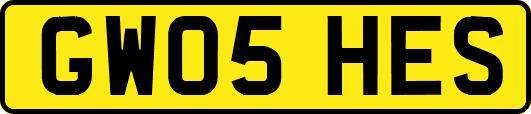 GW05HES