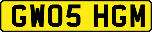 GW05HGM