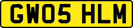 GW05HLM