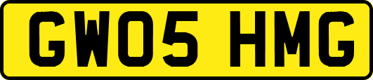 GW05HMG