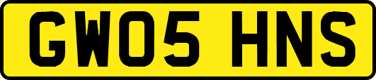 GW05HNS
