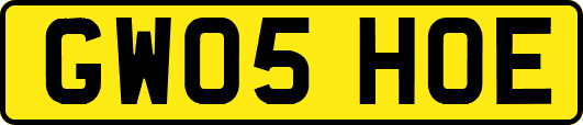 GW05HOE