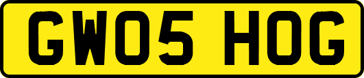 GW05HOG