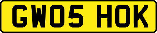 GW05HOK