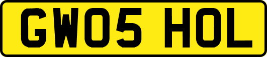 GW05HOL