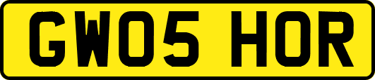 GW05HOR